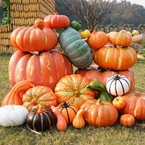 Artificial Pumpkin Decoration For Fall, Outdoor Pumpkin Décor