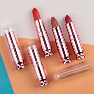 Waterproof Nude Matte Velvet Lip Gloss Lipstick Lip Balm Sexy Red Lip Tint Sexy Women Fashion Makeup Maquillaje Private Label