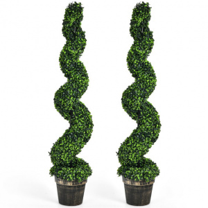 Pack of 2 Spiral boxwood topiary / Topiary boxwood spiral tree