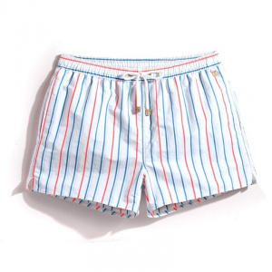 Srtiped Summer Shorts for Men Stylish Beach Shorts, S-XXXL