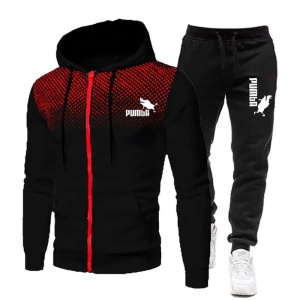 New models Men Suit New Brand Sports Printed Hoodie Sets Male Luxury Fleece Zip Casual Designer Sportswear Suits