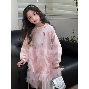 Bear Leader New Mesh Splicing Teen Girl Dresses Birthday Party Long Sleeve Princess Dress Fashion Sweet Kids Wear