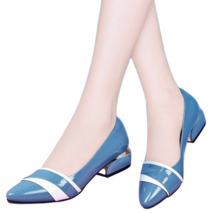 Pointed Toe Thick Party Pumps for Women Hot Party Zapatos with Low Heels