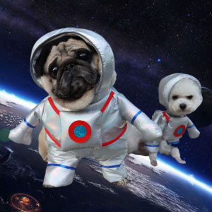 Funny Pet Clothes for Dogs Space Suit Pet Cosplay Clothing Puppy Cat Astronaut Costumes Halloween Party Dress Up Cat Dog Clothes