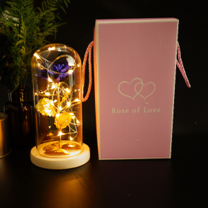 24k Gold Foil Rose Glass Cover LED Lamp For Valentine's Day Or Festive Gifts