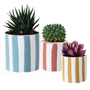Playful Planters set of 3 ceramic table planter/ Multicolored playful planters