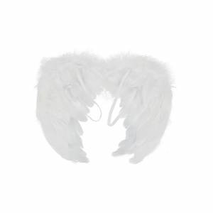 Angel Wings White Black Feather Wings Adult Children Birthday Gift Cosplay Wings Stage Show Halloween Christmas Party Costume