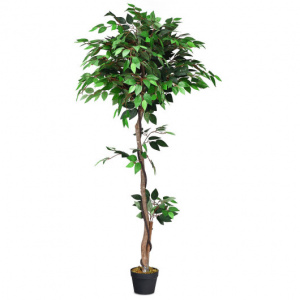 Realistic 5.5 Feet Tall Artificial Ficus Trees with Adjustable Branches