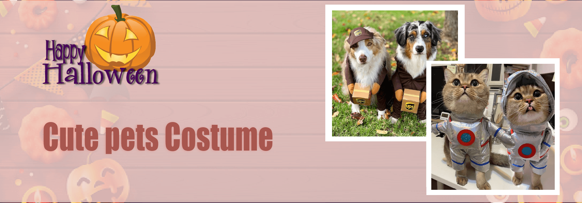 Amp Up The Cuteness Factor With Spooky Halloween Pet Costumes