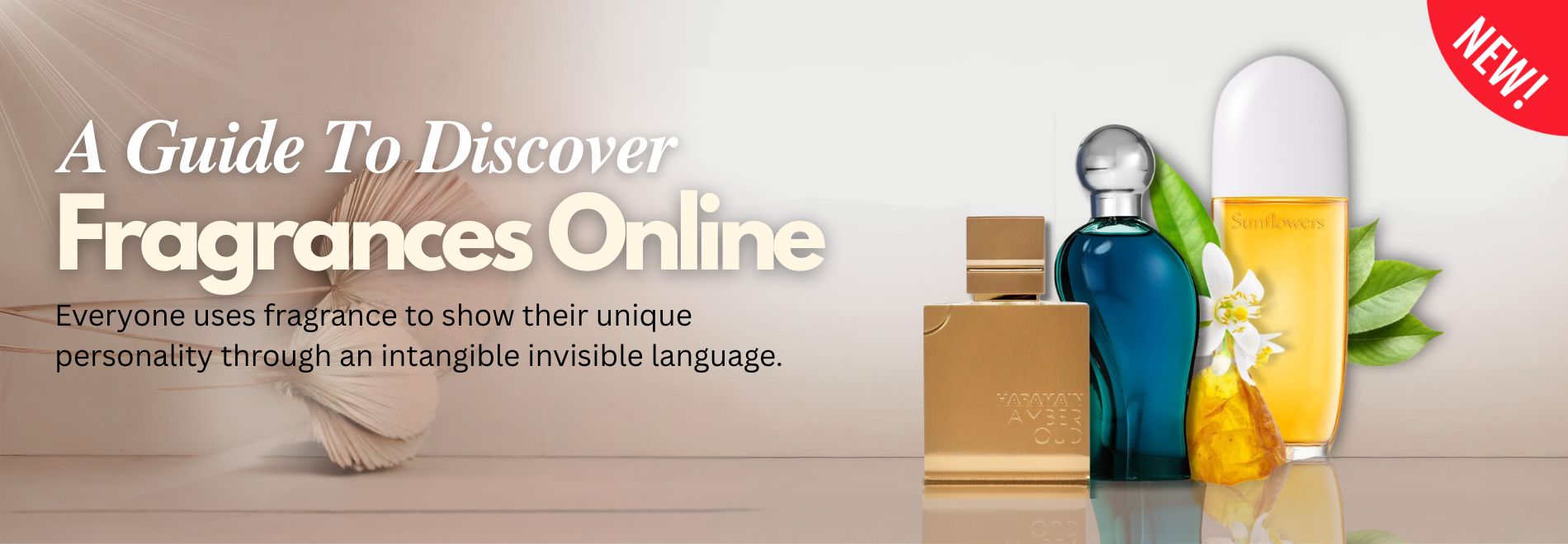 A Guide To Discover New Fragrances Online