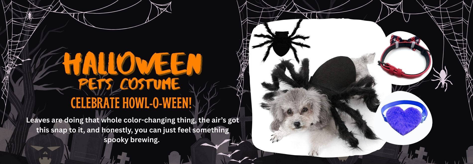Buy Halloween Costume for Pets and Celebrate Howl-o-ween!